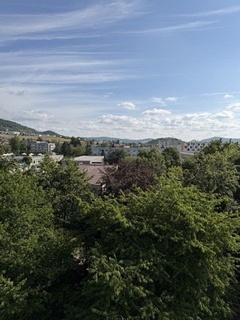 Prodej bytu 3+1 81 m² – fotografie 5