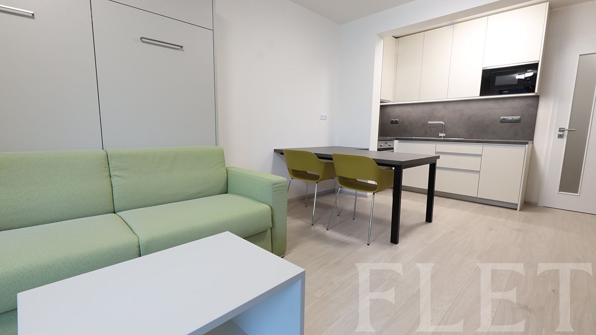 Pronájem bytu 1+kk 36 m²