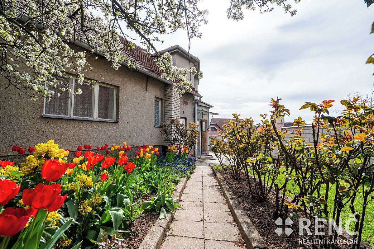 Prodej rodinného domu 103 m², pozemek 457 m² – fotografie 4