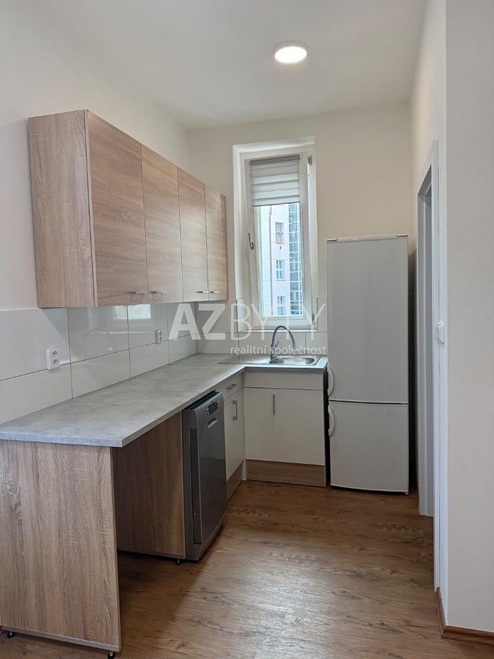 Pronájem bytu 1+kk 29 m² – fotografie 4