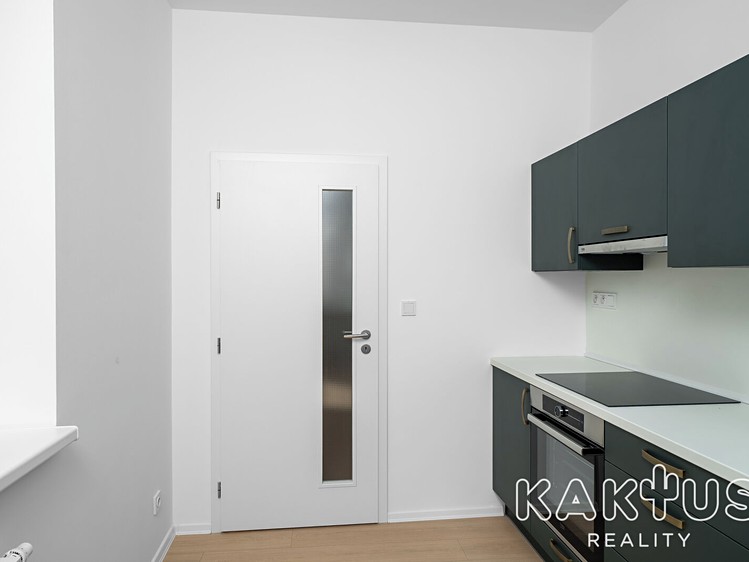 Wohnung 1+1 zur Miete, 42 m² (2 von 12)