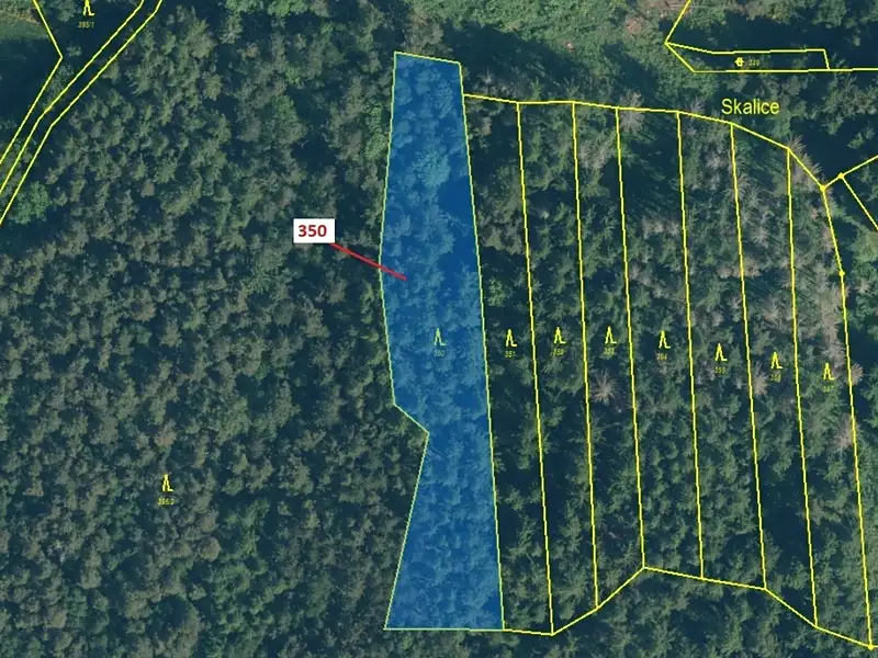 Dražba lesa 3476 m², Kovčín – náhled fotky 2