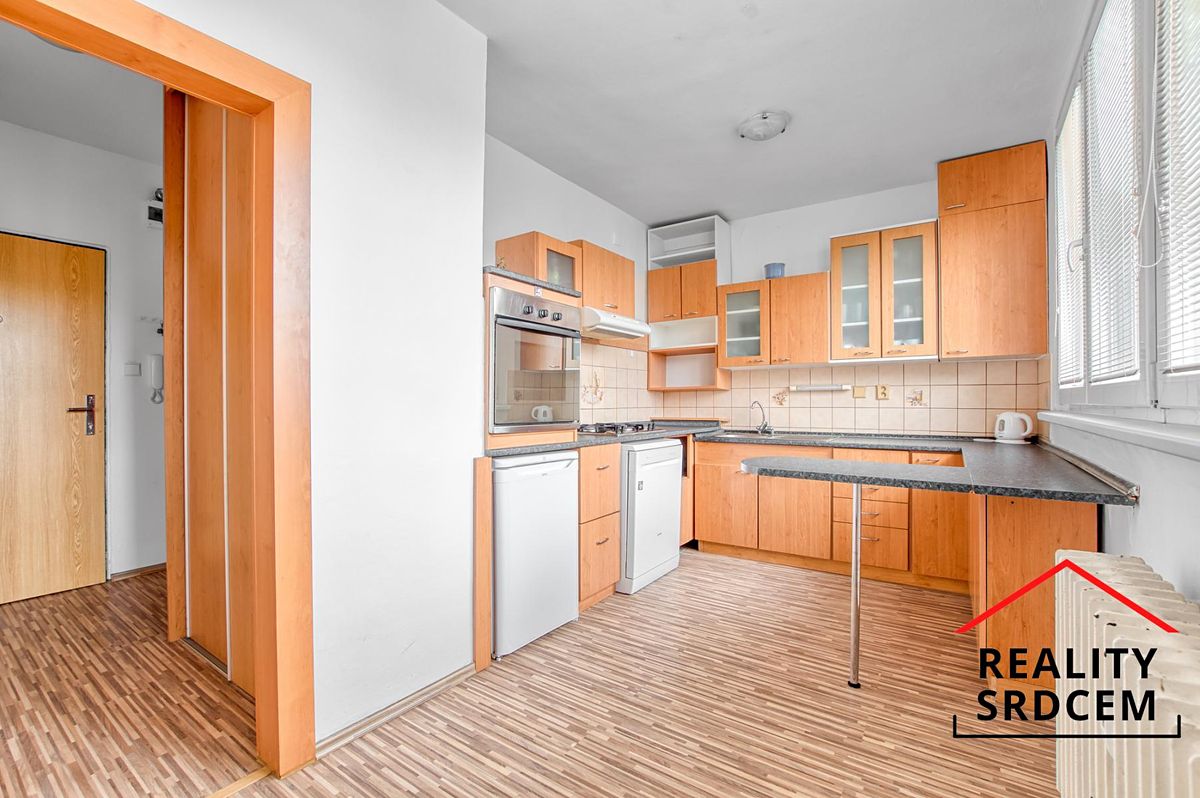 Pronájem bytu 1+1 45 m²