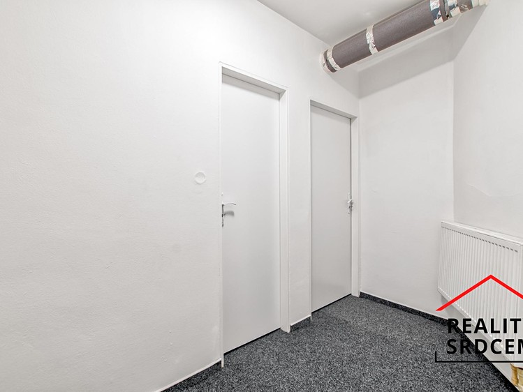 Комерційне приміщення в оренду, 167 м² (24 з 29)