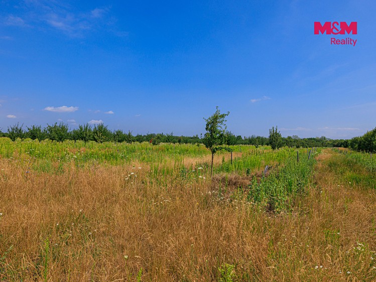 Ділянка на продаж, 12 442 м² (13 з 15)