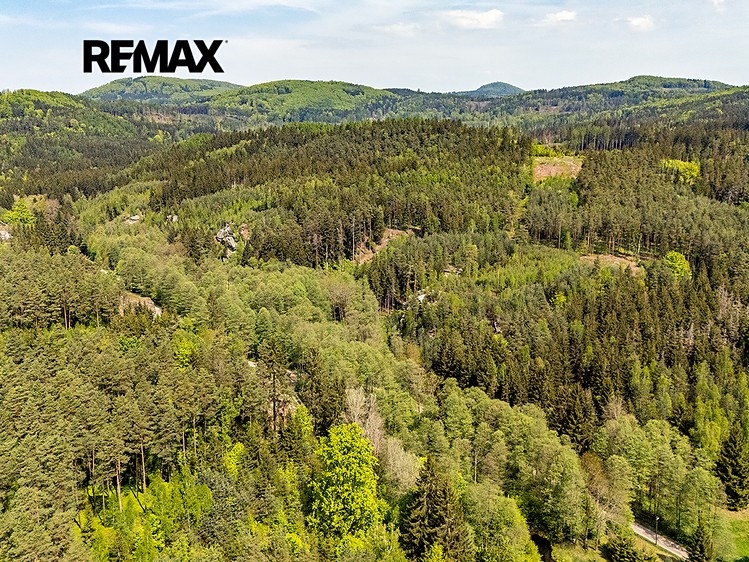 Grundstück zum Kauf, 5.335 m² (19 von 27)