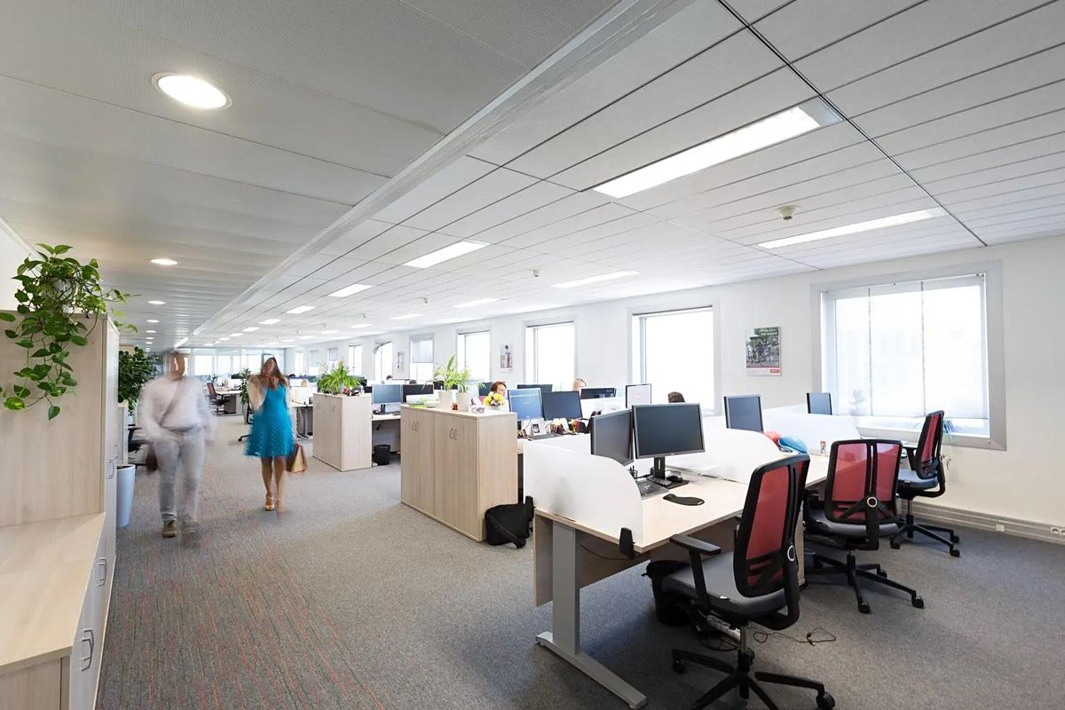 Pronájem kanceláře 160 m² – fotografie 2