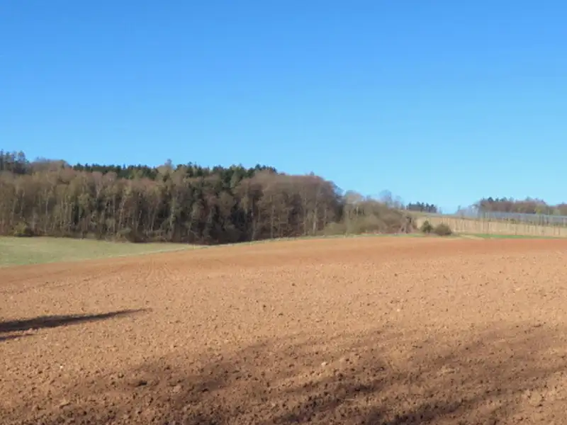 Dražba pole 13398 m², Mutějovice – náhled fotky 3