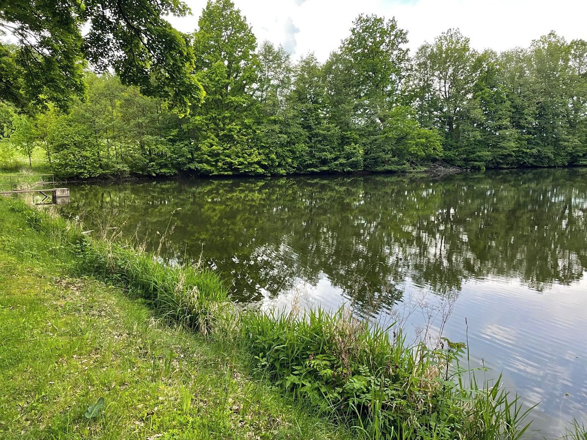 Prodej rybníku (vodní plochy) 91314 m² – fotografie 5