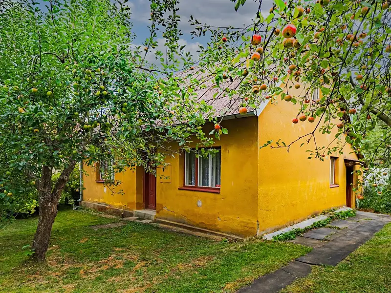 Prodej rodinného domu 142 m², pozemek 522 m², Svojanov – náhled fotky 2