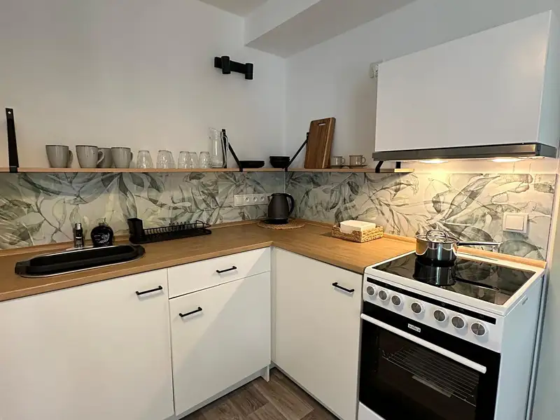 Pronájem bytu 1+1 40 m², Příbraz – náhled fotky 2