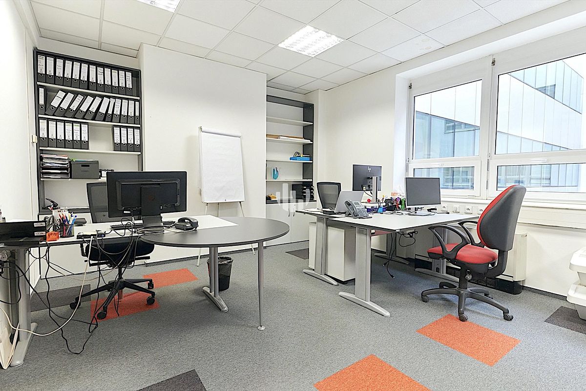 Pronájem kanceláře 317 m² – fotografie 5