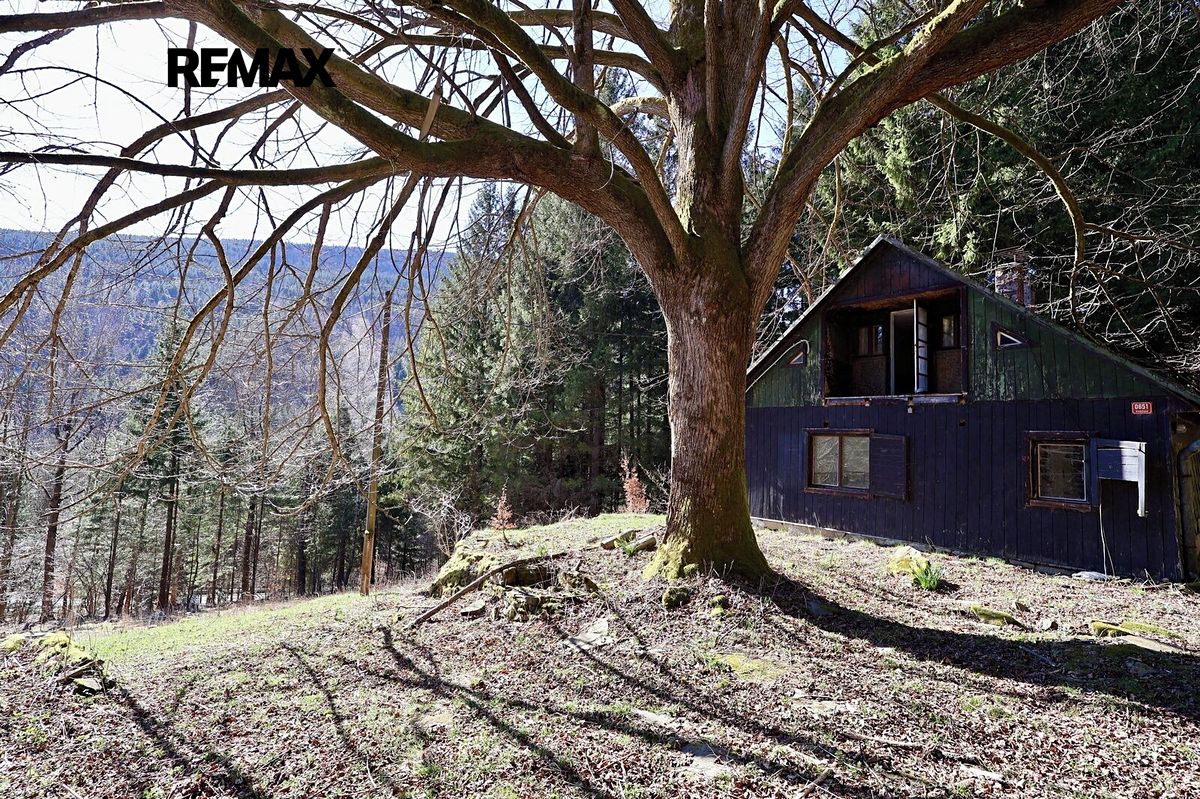 Prodej chaty 180 m², pozemek 7880 m² – fotografie 4