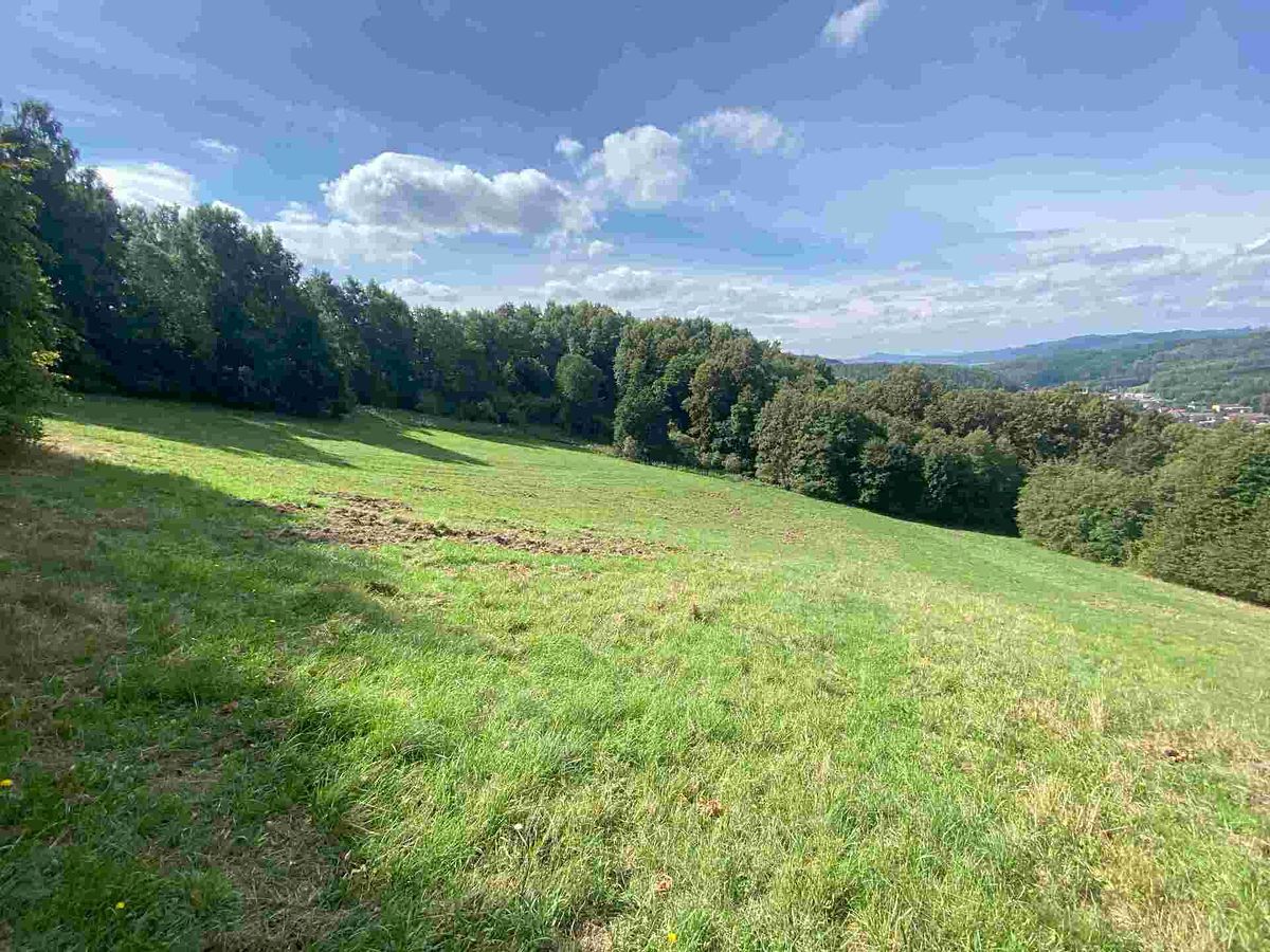 Prodej pozemku 10593 m² – fotografie 3