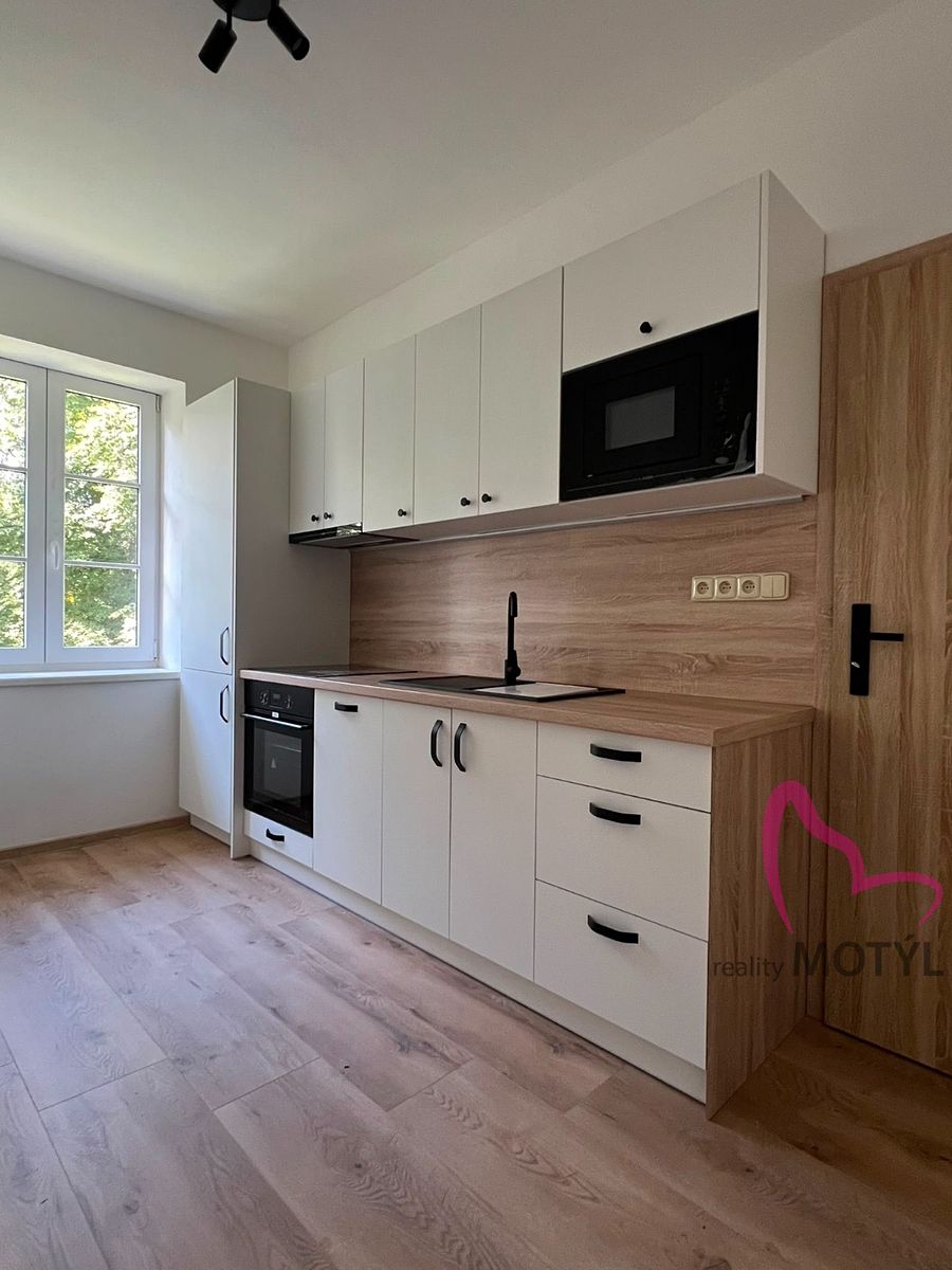Pronájem bytu 1+1 38 m²