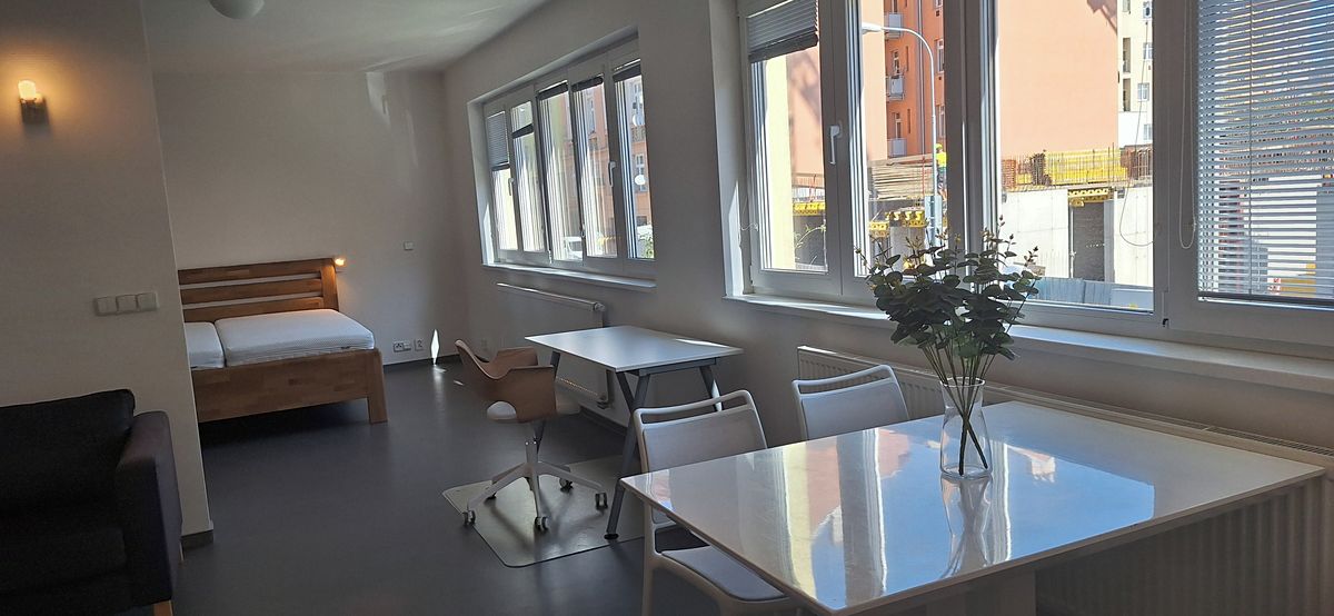 Pronájem bytu 1+kk 46 m² – fotografie 2