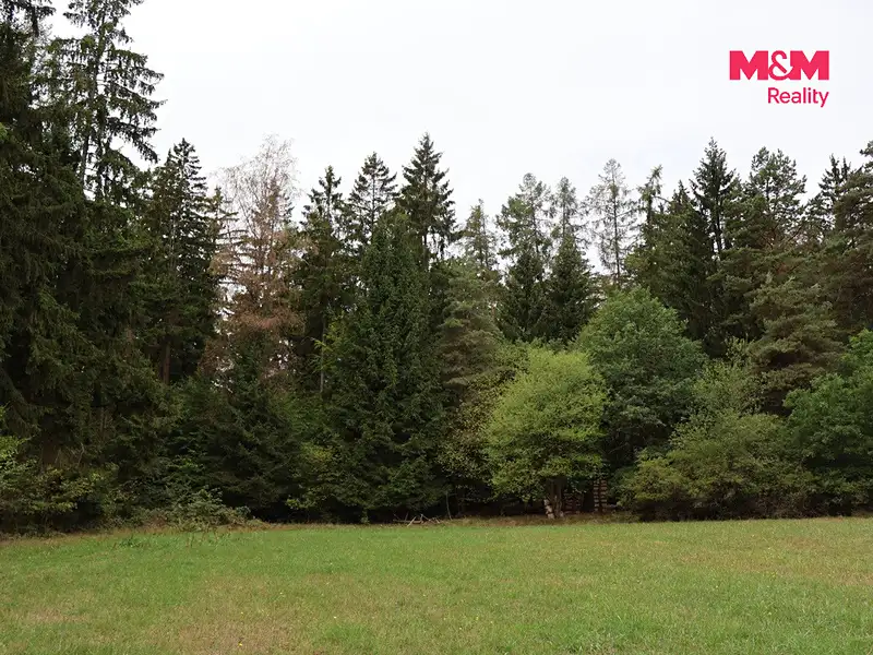 Prodej lesa 1762 m², Chanovice – náhled fotky 3