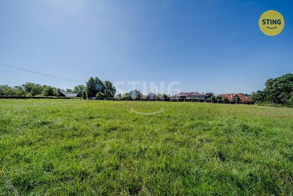 Fotka 9 z 11