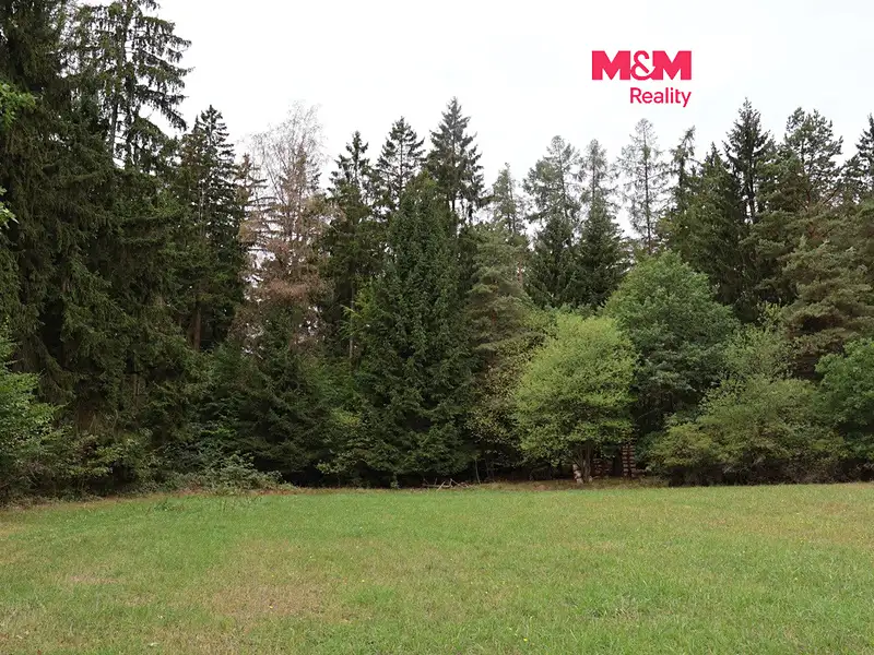 Prodej lesa 1762 m², Chanovice – náhled fotky 1