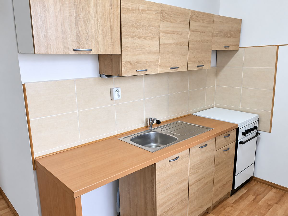 Prodej bytu 2+1 53 m²