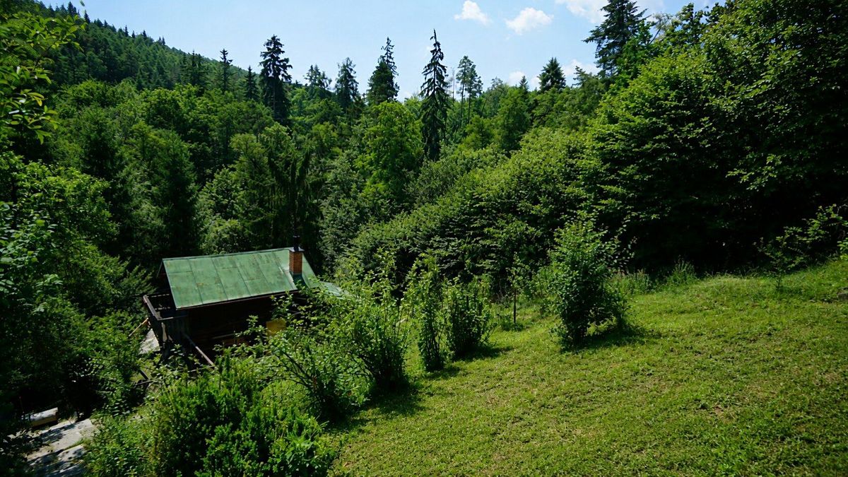 Prodej chalupy 48 m², pozemek 1415 m² – fotografie 2