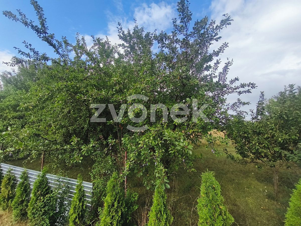 Prodej komerčního pozemku 806 m² – fotografie 3