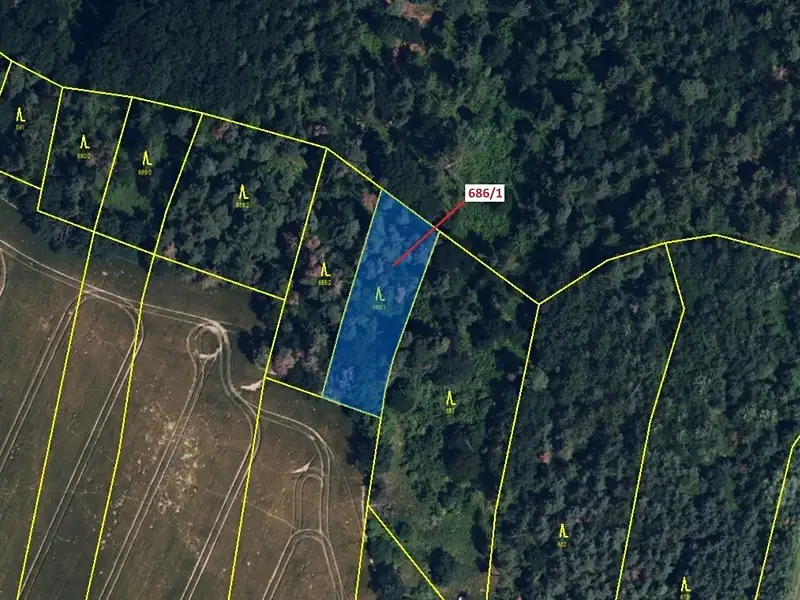 Dražba lesa 1280 m², Přemyslovice – náhled fotky 2