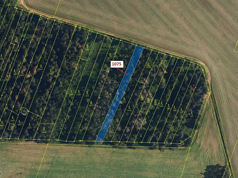 Dražba lesa 1134 m², Dolní Vilémovice – náhled fotky 2