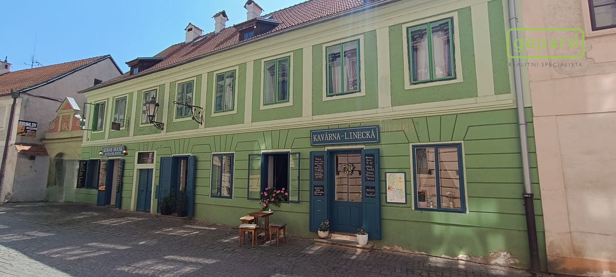 Prodej rodinného domu 524 m², pozemek 1017 m² – fotografie 4