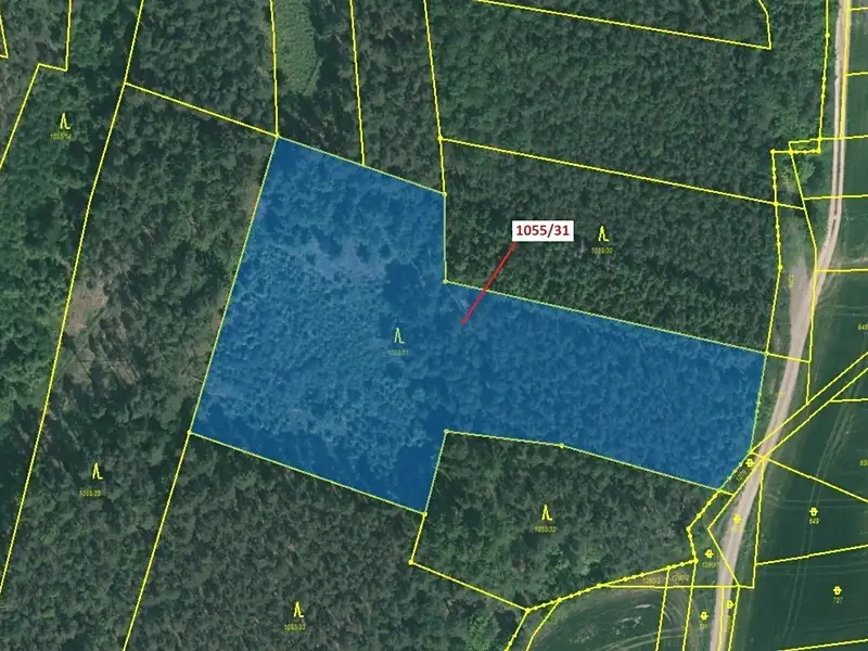 Dražba lesa 9168 m², Milavče – náhled fotky 2