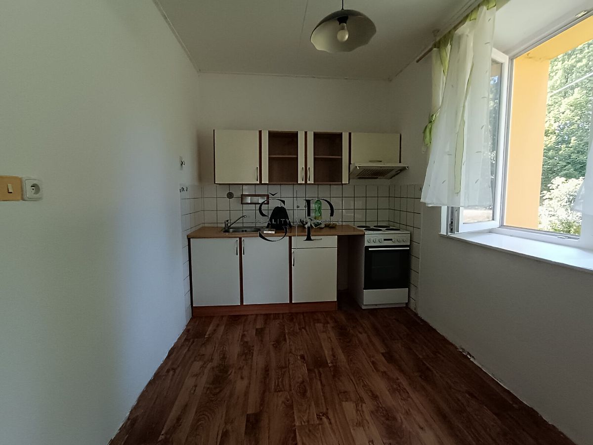 Pronájem bytu 1+1 47 m²