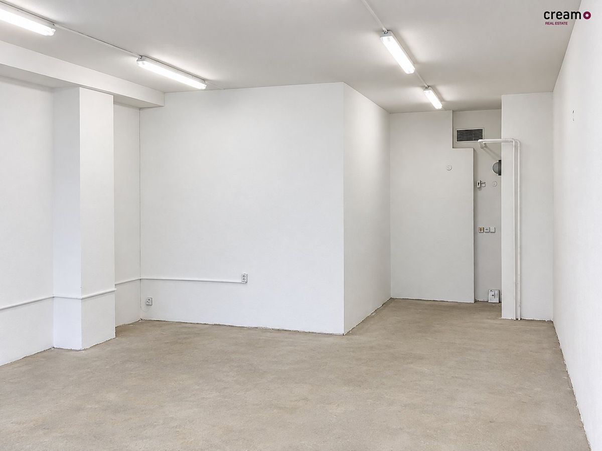 Pronájem kanceláře 66 m² – fotografie 3
