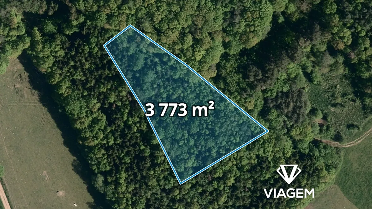 Prodej podílu 1/2 lesa 1886 m²