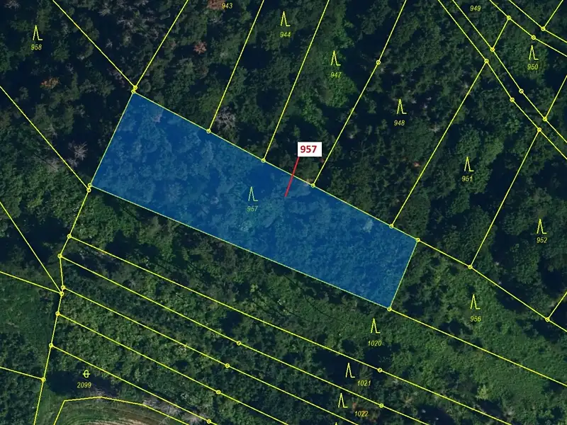 Dražba lesa 2344 m², Mladoňovice – náhled fotky 2