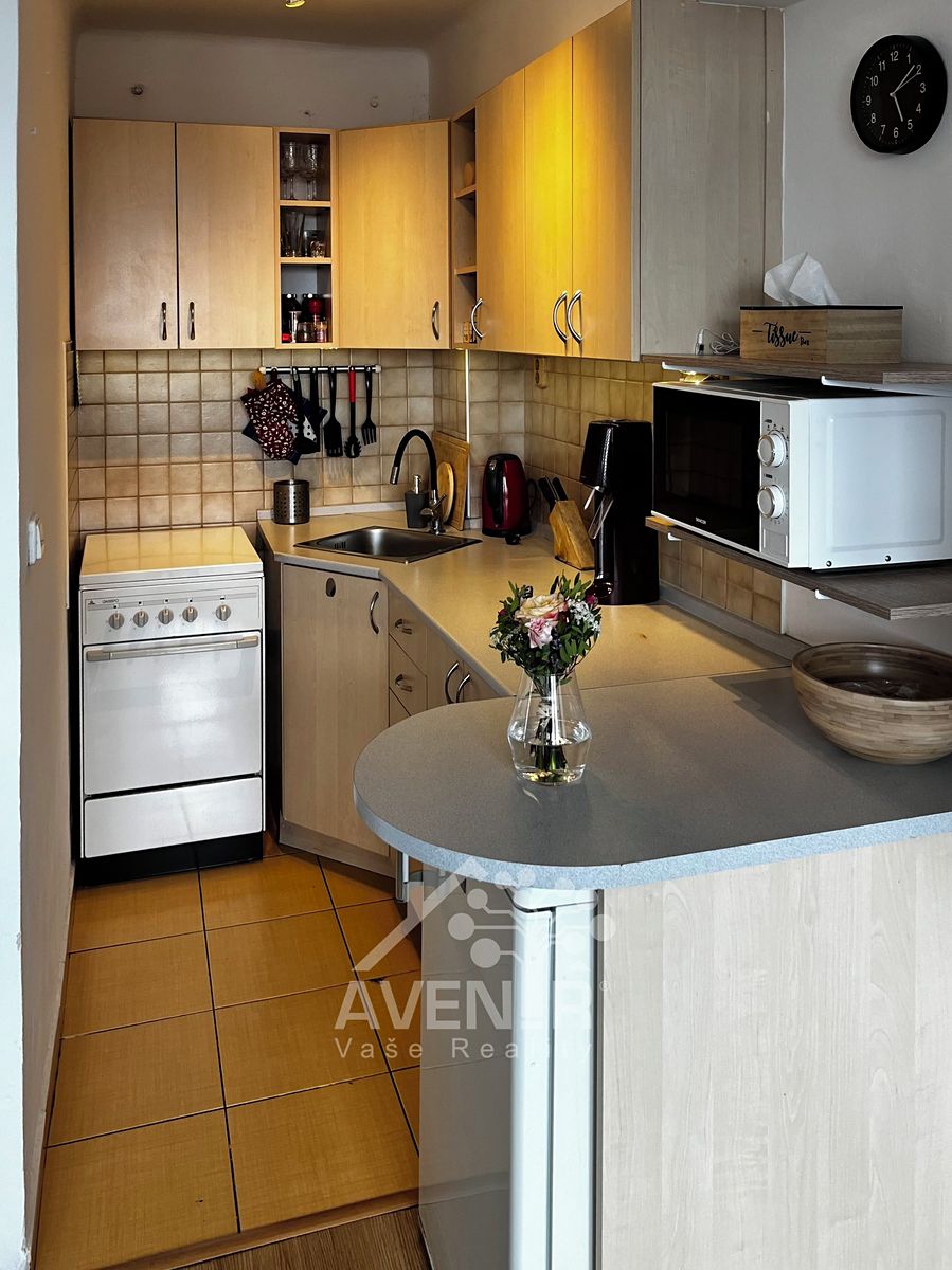 Pronájem bytu 3+kk 42 m² – fotografie 5