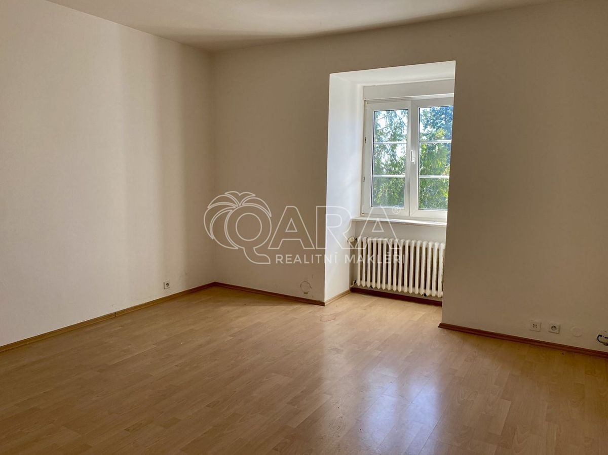 Pronájem bytu atypický 38 m²