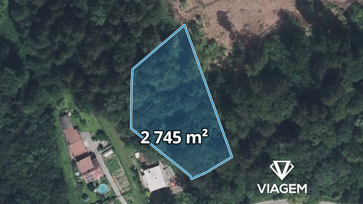 Prodej lesa 2745 m²