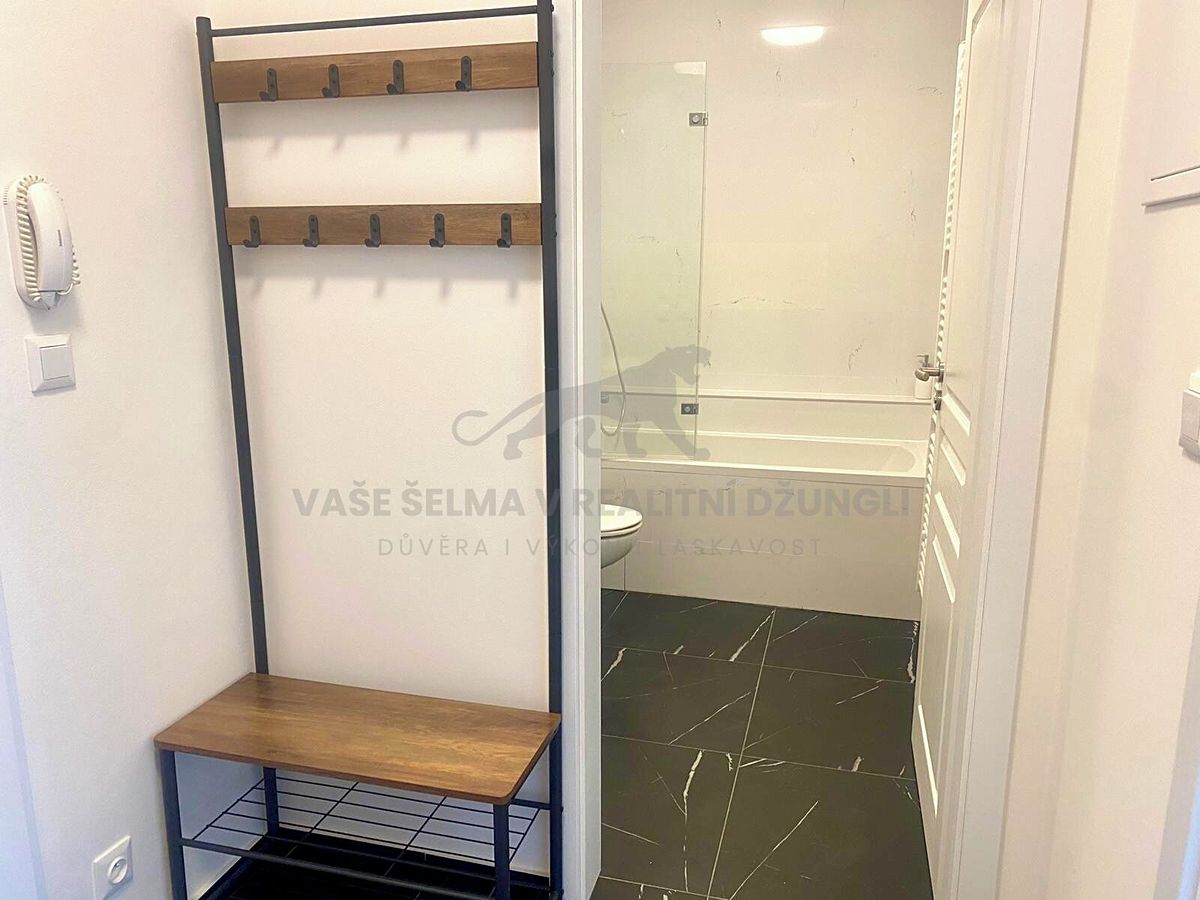 Pronájem bytu 1+kk 32 m² – fotografie 3