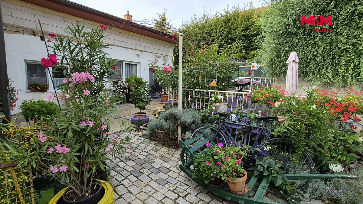 Prodej rodinného domu 235 m², pozemek 813 m² – fotografie 4