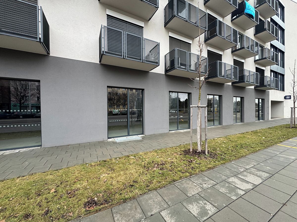 Prodej obchodního prostoru 235 m² – fotografie 2