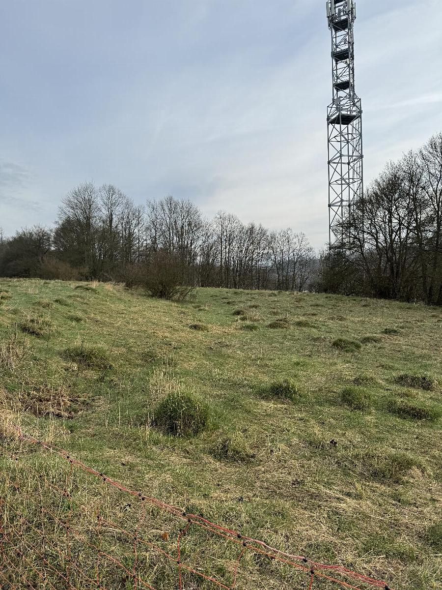 Prodej pozemku 3678 m² – fotografie 2
