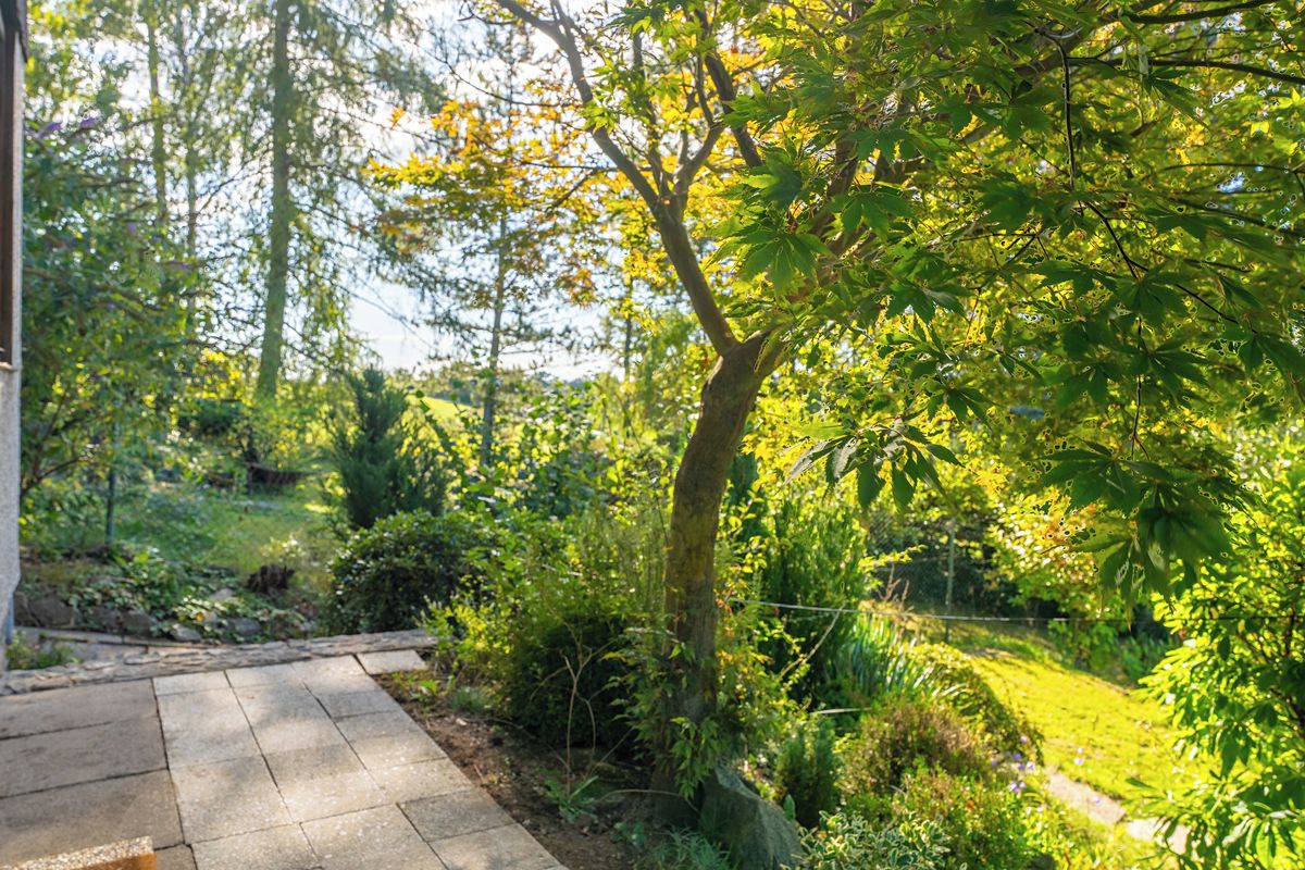Prodej chaty 65 m², pozemek 565 m² – fotografie 3