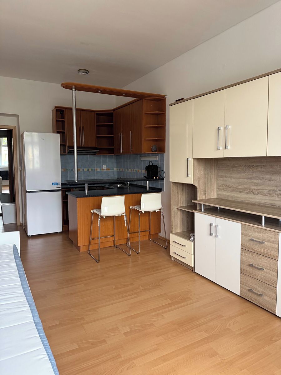 Pronájem bytu 1+kk 29 m² – fotografie 3