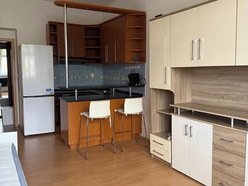 Pronájem bytu 1+kk 29 m², Praha – náhled fotky 3