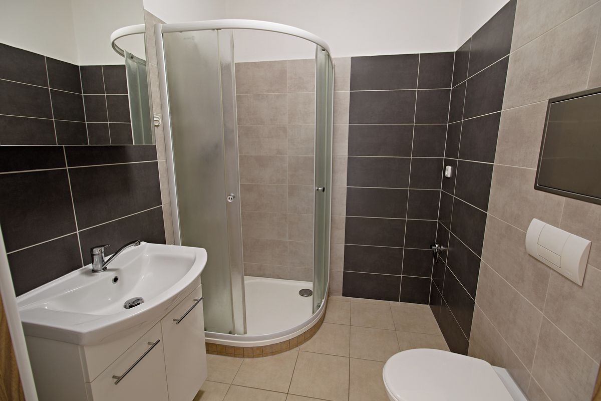 Pronájem bytu 1+kk 30 m² – fotografie 3