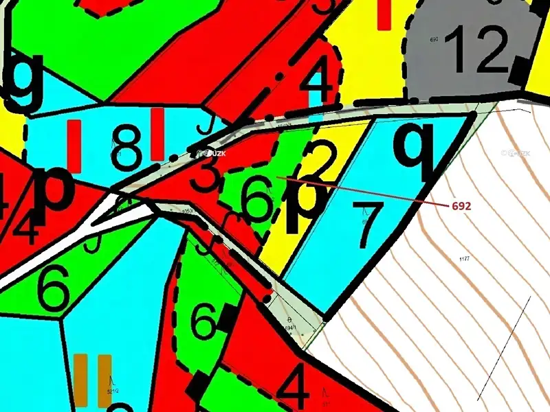 Dražba lesa 2947 m², Kuřimany – náhled fotky 3