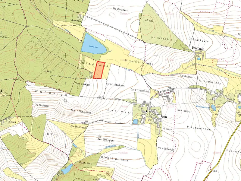 Prodej louky 15444 m², Bernartice – náhled fotky 2