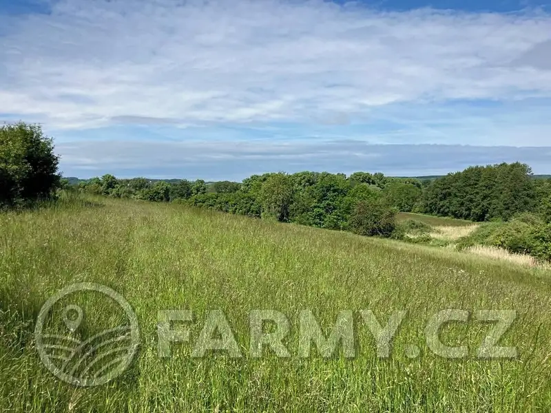 Prodej louky 12974 m², Kouřim – náhled fotky 2