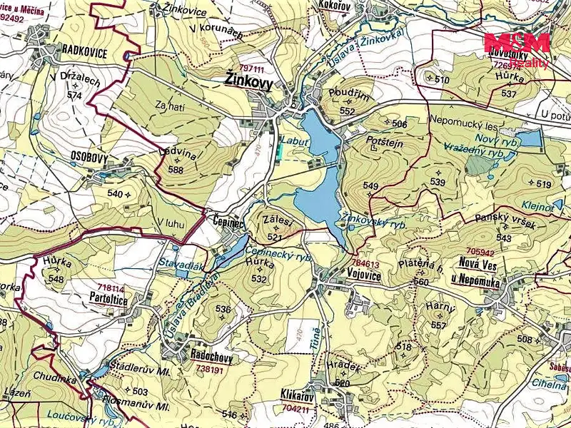 Prodej louky 9215 m², Žinkovy – náhled fotky 2