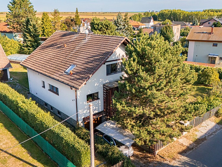 Будинок на продаж, 320 м² (3 з 33)